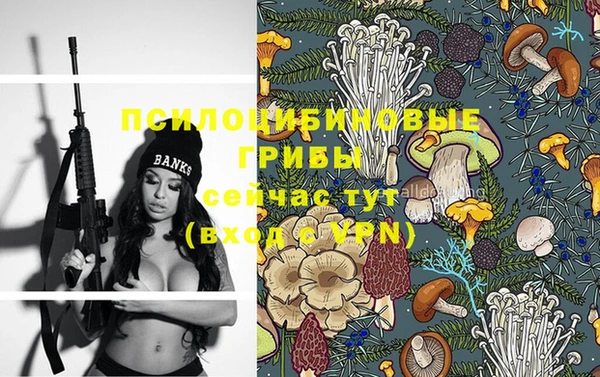твердый Покров