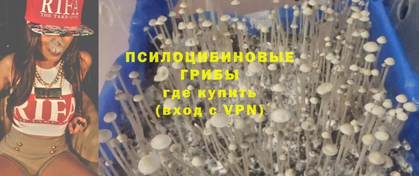 трава Инта