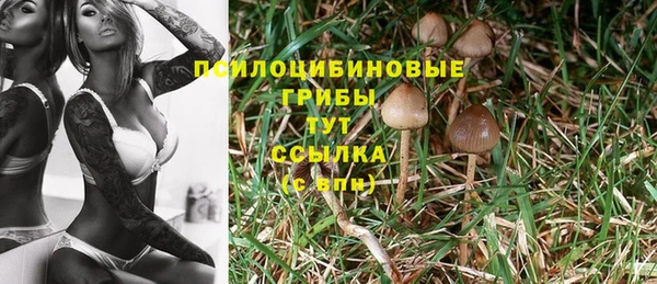 твердый Покров