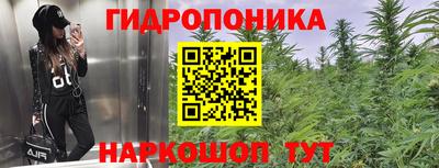 a pvp Кулебаки