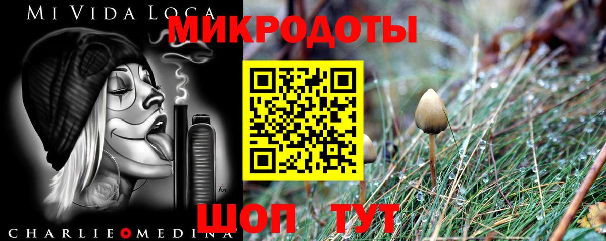 Галлюциногенные грибы прущие грибы  Вход с VPN  Соль-Илецк 
