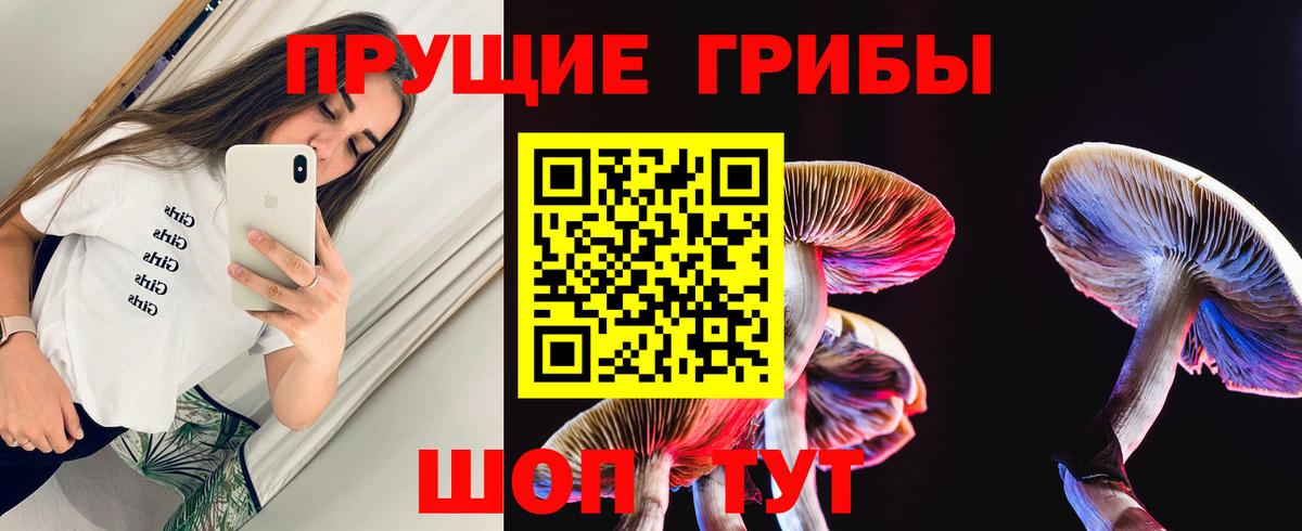 Псилоцибиновые грибы Cubensis Соль-Илецк